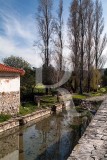 Olho d'água de Alcobertas