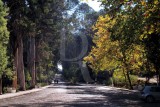 Termas de Monte Real