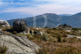 A Serra da Aboboreira