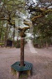 Parque Florestal de Amarante