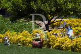The Garden