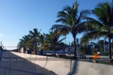 2010 - Coconut palms on W. 84th Street before widening from 3 lanes to 5 lanes from Red Road to Ludlam Road