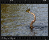 Great catch!