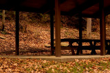 Picnic Tables