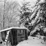 Waiting for Spring