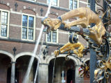 fountain in the binnenhof