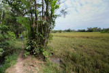 DSCF4304.jpg