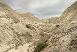 Badlands (2366)