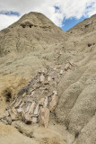 Petrified Log (2382)