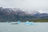 Icebergs from Viedma (2576)
