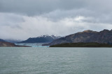 Lago Viedma, Glacier (2572)