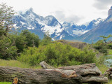 Picnic Lunch Area (2523L)
