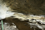 La Cueva del Milodon (4706)
