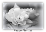 Wish