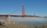 DSC_7919.jpg