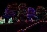 Tree Lights, Upper Canada Village