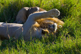 IMG_1723W.jpg