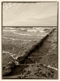 Seaview