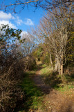 Footpath near Kloster