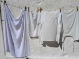 All white