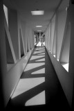Shadow in street
