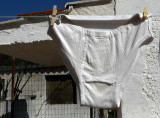 White Slip