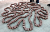 Bologna - Italy - ART FIRST