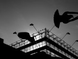 Flight of pigeons