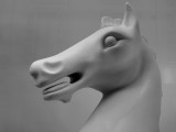 Horse Dummy