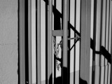Lights Lines and Shadows
