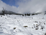 snowfield_5333.jpg