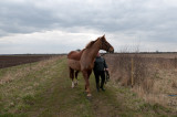 DSC_1088.jpg