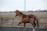 DSC_1275.jpg