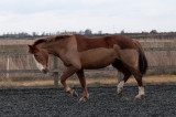 DSC_1295.jpg