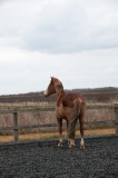 DSC_1305.jpg