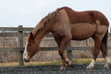 DSC_1312.jpg