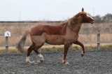 DSC_1397.jpg