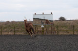DSC_1404.jpg