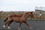 DSC_1411.jpg