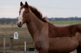 DSC_1461.jpg