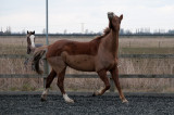 DSC_1481.jpg