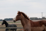 DSC_1493.jpg