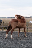 DSC_1543.jpg