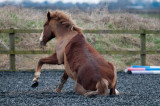 DSC_1564.jpg