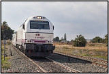 LS1E2488.jpg