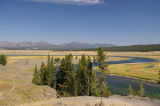 Hayden Valley, prime wolf and bison habitat