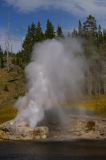Riverside geyser