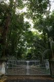 New gates