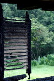 Looking out