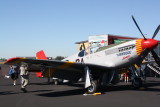 P-51 Mustang (NX61429) By ReQuest